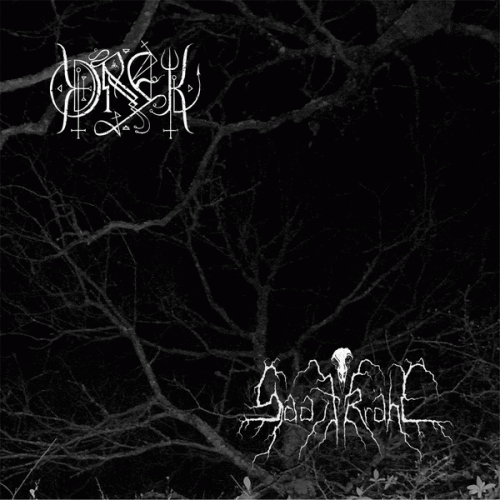 Orek : Demo Split